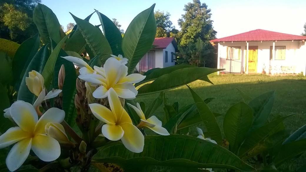 הנגה רואה Cabanas Isla De Pascua מראה חיצוני תמונה