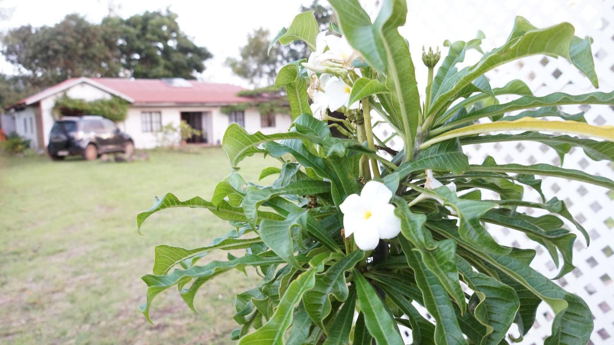 הנגה רואה Cabanas Isla De Pascua מראה חיצוני תמונה